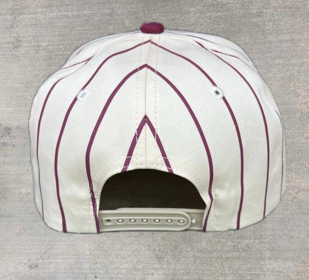 Retro PinStripe LA Roller Snap Back